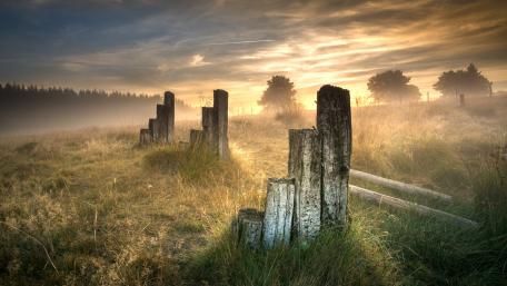 Serene Morning Mist Over Landscape wallpaper