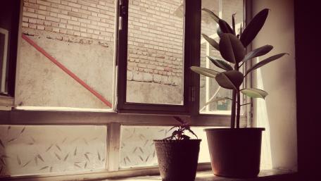 Middle eastern window wallpaper