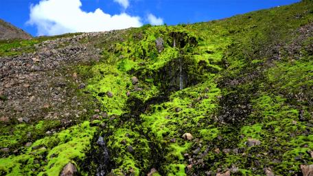 Mountain stream in Hornstandir wallpaper