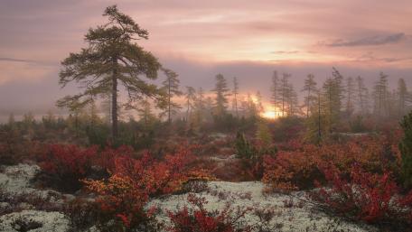 Jack London Lake (Russia) wallpaper