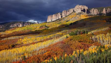 Autumn Majesty in Rich Colors wallpaper