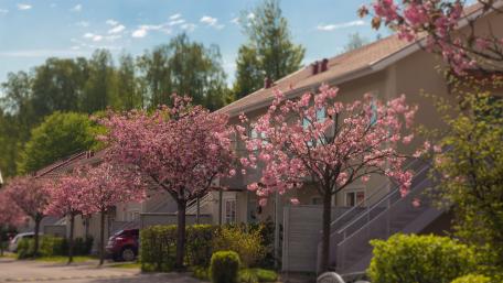 Picturesque suburdan Life in Scandinavia wallpaper