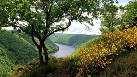 Serene River Bend in a Lush Valley Viewpoint wallpaper