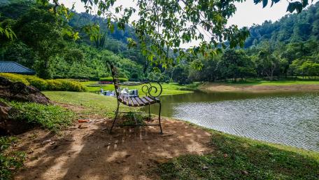 Garden bench, Seethawaka wallpaper