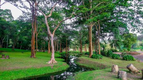 Fresh water in the greens wallpaper