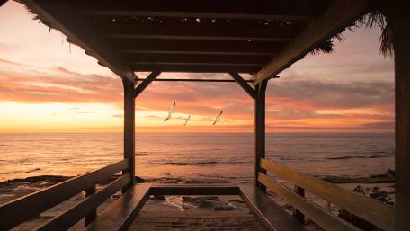 Beautiful Sea Side Birds Flying wallpaper
