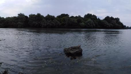 Tranquil Riverbank in Nature's Embrace wallpaper