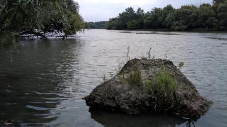 Tranquil Riverbank Serenity wallpaper