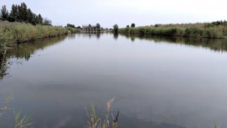 Serene Reflections on Calm Waters wallpaper