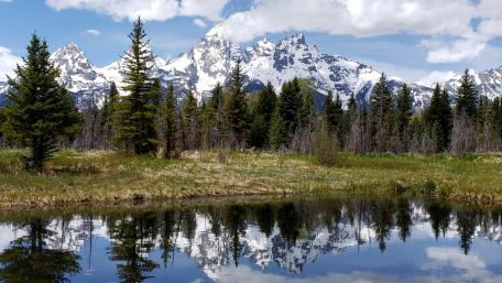 Schwabacher Landing wallpaper