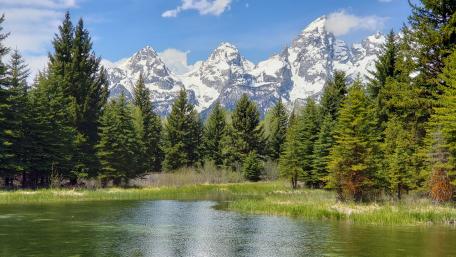 Schwabacher Landing Closeup wallpaper