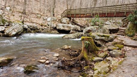 Cascade Falls Lower Trail Bridge wallpaper