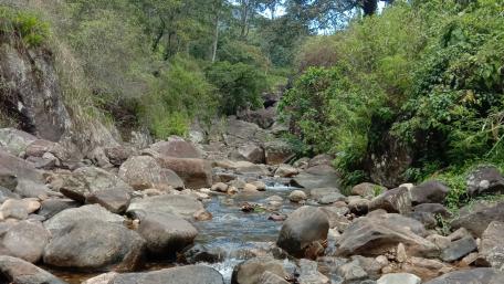River wallpaper