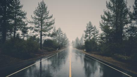 Wet road between tall trees wallpaper