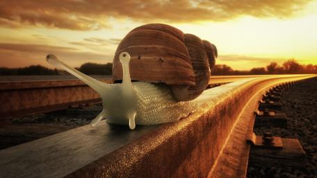 Snail on rail wallpaper