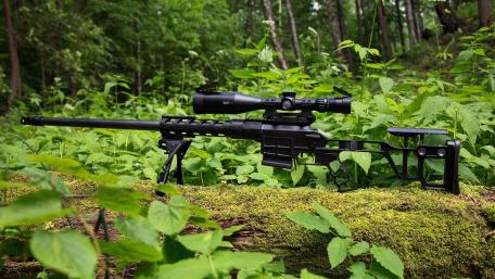 Precision in the Green Wilderness wallpaper
