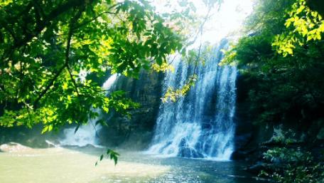 Beautiful waterfall in Sri Lanka wallpaper