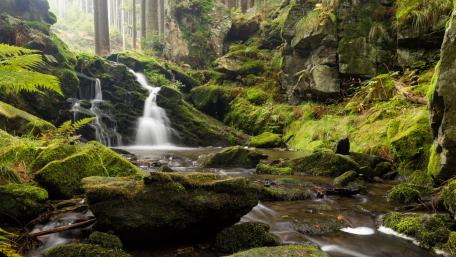 Valley of river Doubrava Natural Park wallpaper