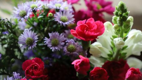 wildflowers wallpaper
