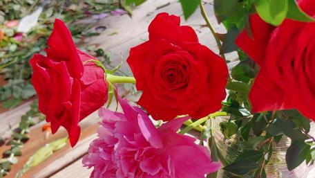 Porch Rose wallpaper