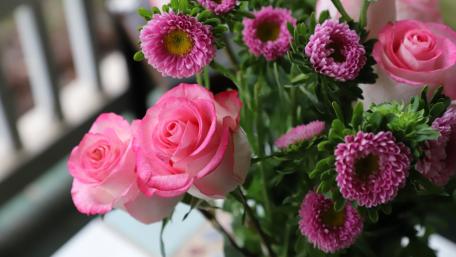 Mesta Park Pink wallpaper