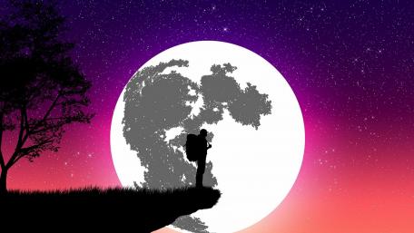 Wanderer in the moonlight wallpaper