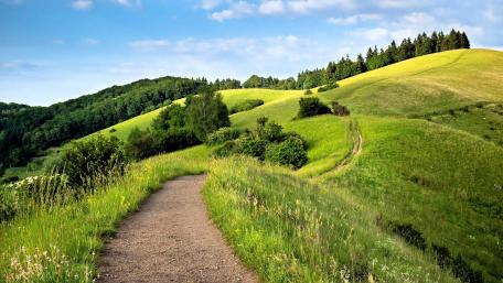 Hiking trails in Baden-Württemberg wallpaper