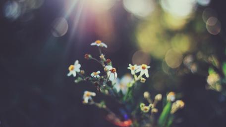 Bubbles Photography wallpaper
