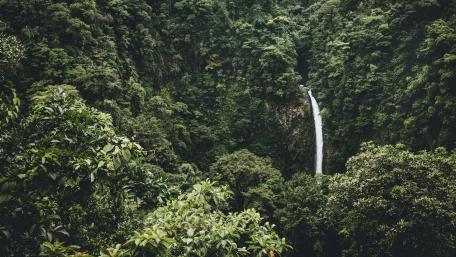 Waterfall in the tropical rainforest wallpaper
