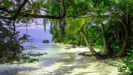 Caribbean beach in Panama wallpaper