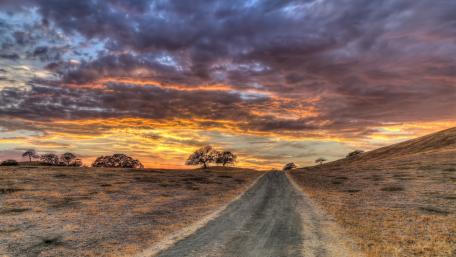 Tranquil Sunrise on a Dirt Road wallpaper