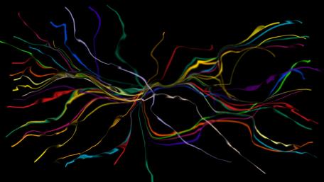 Multicolored laces wallpaper