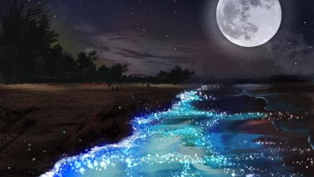 Fantasy night scenery wallpaper