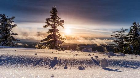 Winter sunshine wallpaper