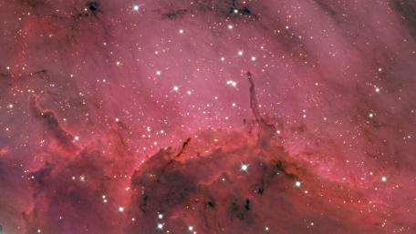Pelican Nebula wallpaper