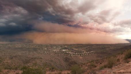Phoenix Dust Storm wallpaper