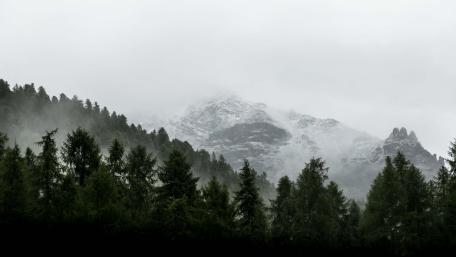 Misty Mountain Morning wallpaper