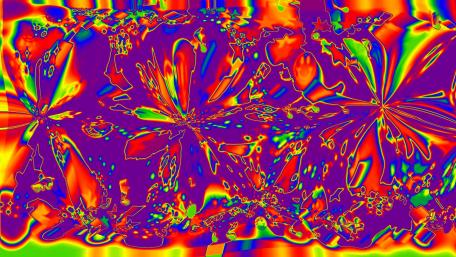 effets floral 2019 wallpaper