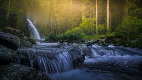 Enchanted Forest Waterfall Oasis wallpaper