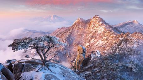 Majestic Winter Landscape at Dawn wallpaper