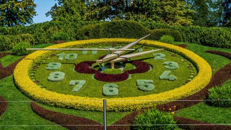 Flower Clock in a Brazilian Garden Scene wallpaper