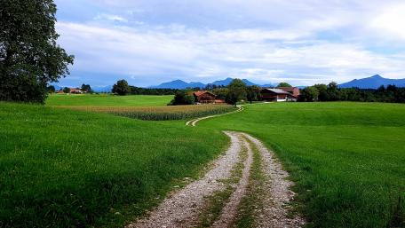 Tranquil Countryside Pathway to Serenity wallpaper