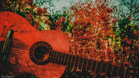 Serene Guitar Amidst Autumn Colors wallpaper