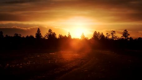 Beauty sunset nature wallpaper
