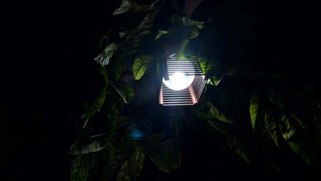 NATURE AND LIGHT wallpaper
