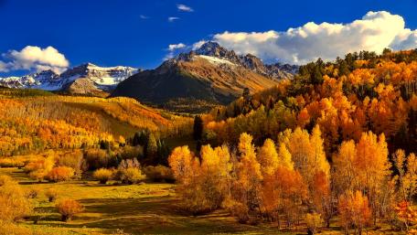 Sunny autumn wallpaper