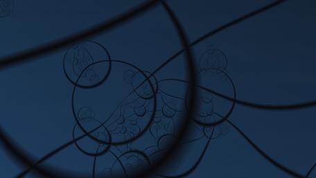 Circles and Lines wallpaper