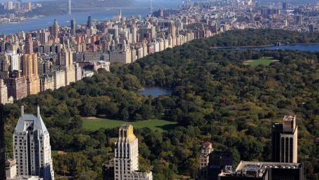 Central Park wallpaper
