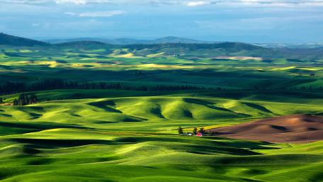 Rolling Green Hills Symphony wallpaper
