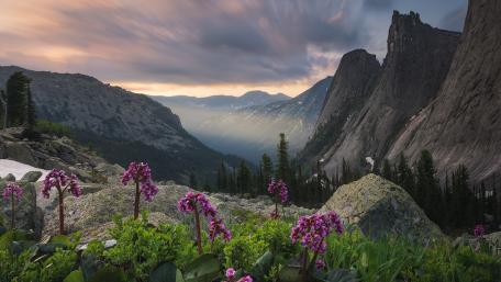 Majestic Mountain View at Dusk wallpaper